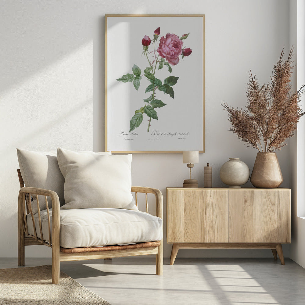 Provence Rose, Les Roses (1817–1824) - Poster / Art Print - interiör