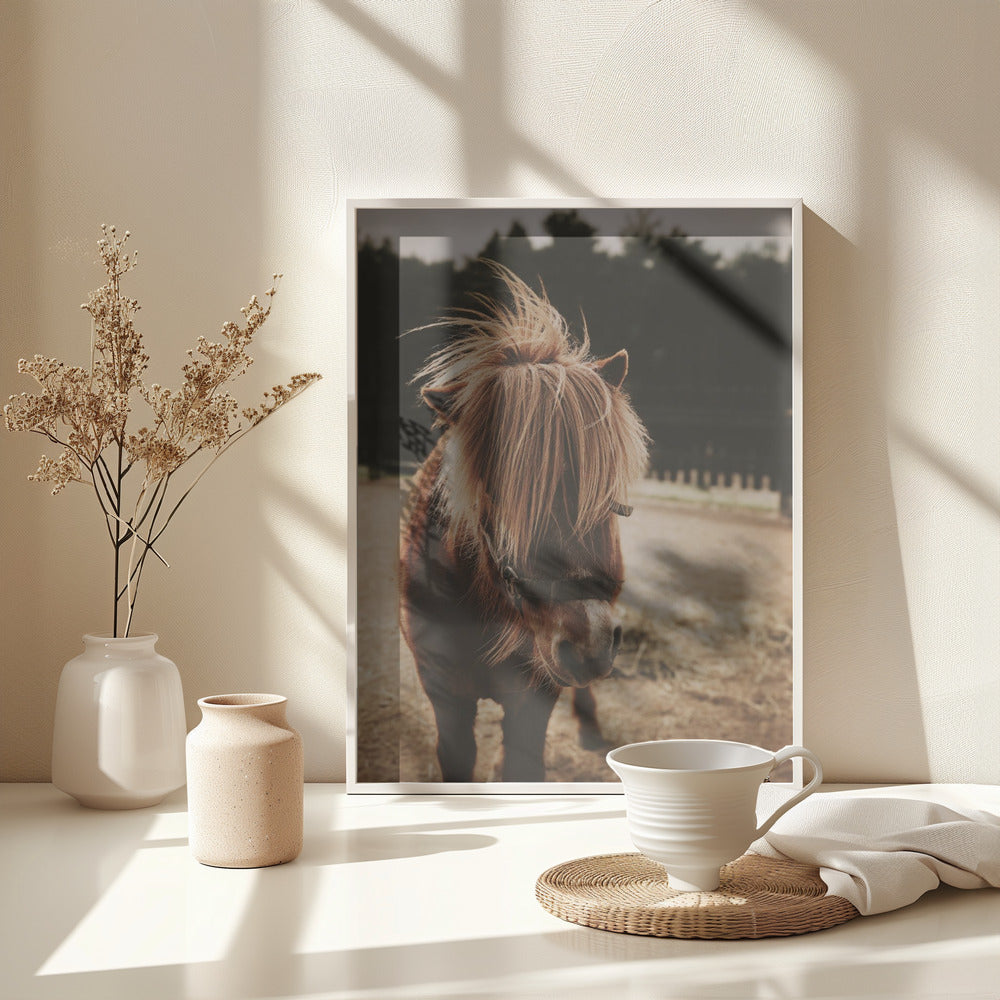 Small Horse - Poster / Art Print - interiör