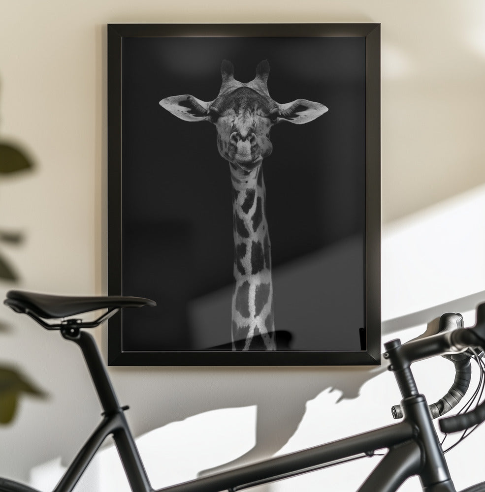 Giraffe Portrait - Poster / Art Print - interiör