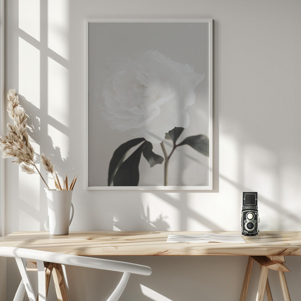 Peony 03 - Poster / Art Print - interiör