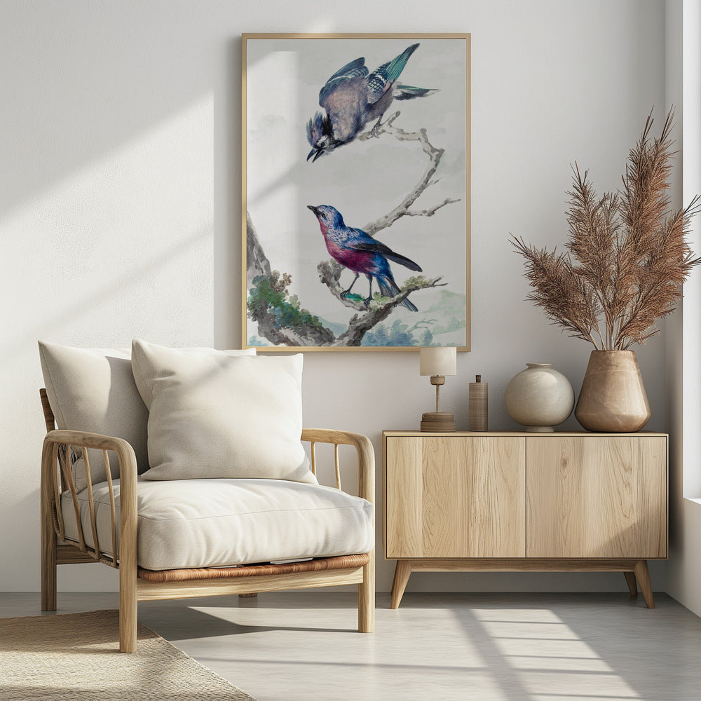 Two Birds  a Blue Jay and a Purple Breasted Cotinga - Poster / Art Print - interiör