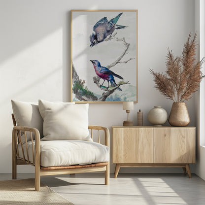 Two Birds  a Blue Jay and a Purple Breasted Cotinga - Poster / Art Print - interiör