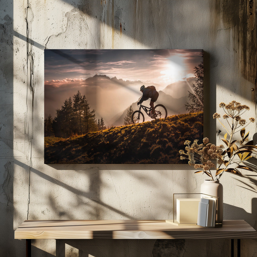 Golden hour biking - Poster / Art Print - interiör