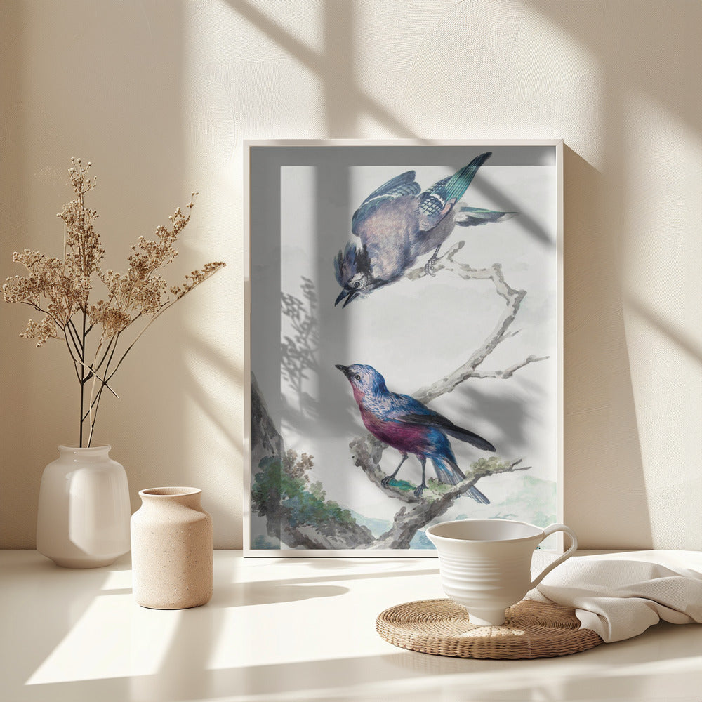 Two Birds  a Blue Jay and a Purple Breasted Cotinga - Poster / Art Print - interiör