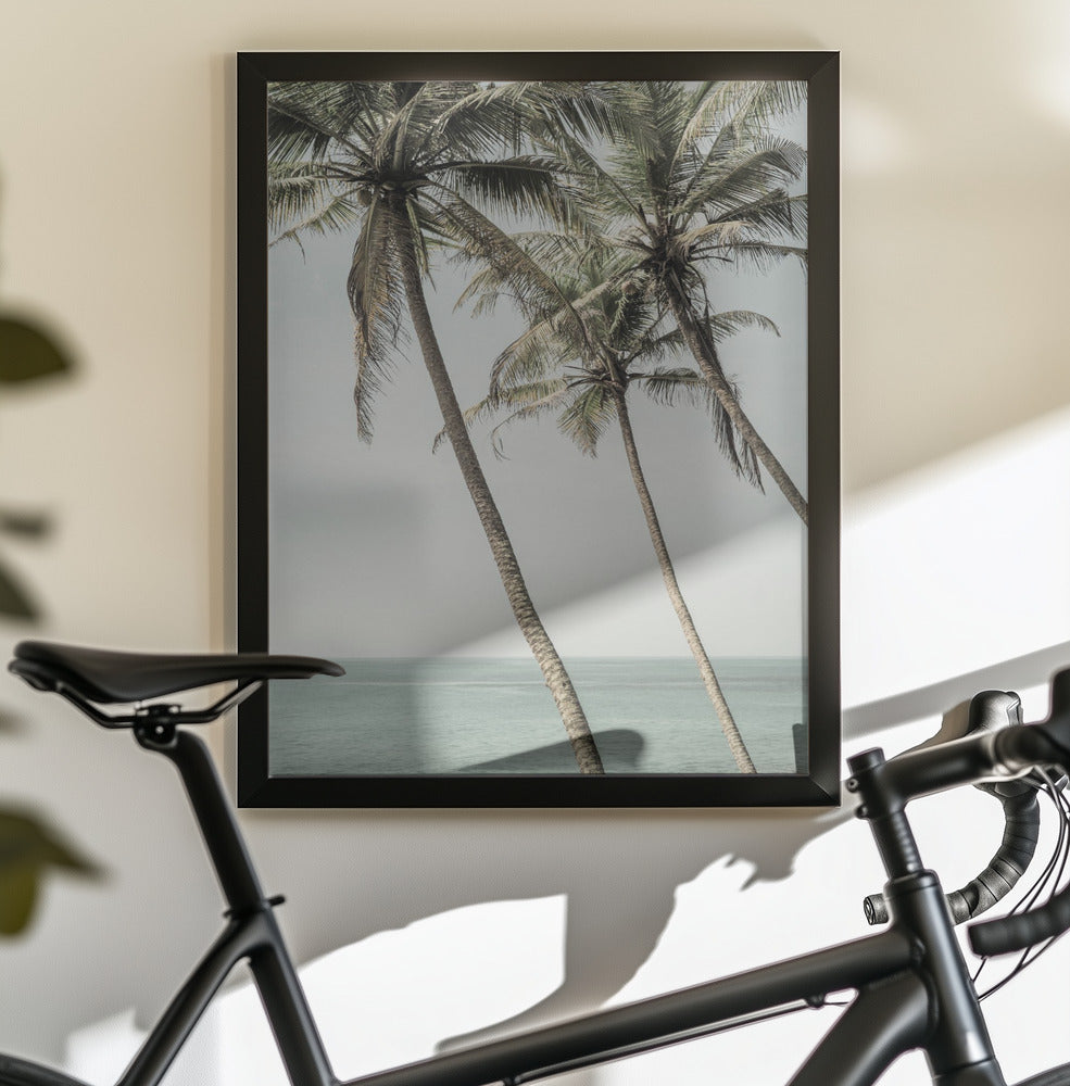 Sun Kissed - Poster / Art Print - interiör