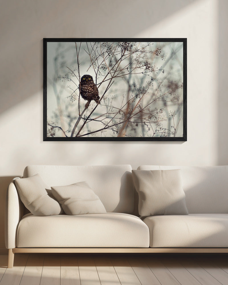 Look at Me! - Poster / Art Print - interiör