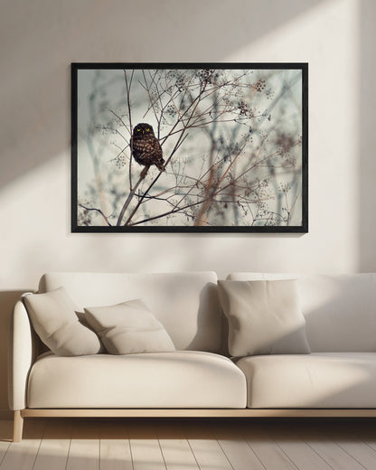 Look at Me! - Poster / Art Print - interiör
