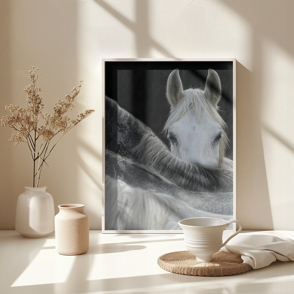 Look - Poster / Art Print - interiör