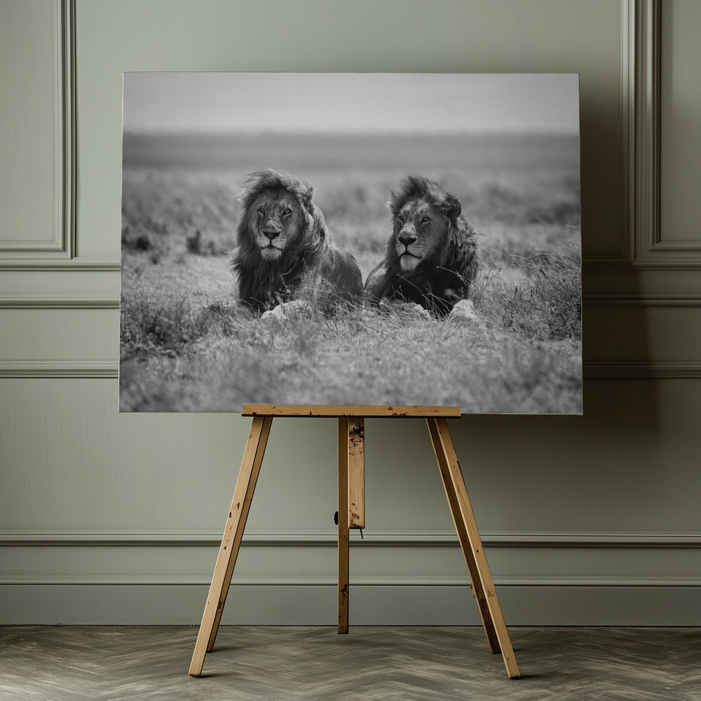 Two kings - Poster / Art Print - interiör