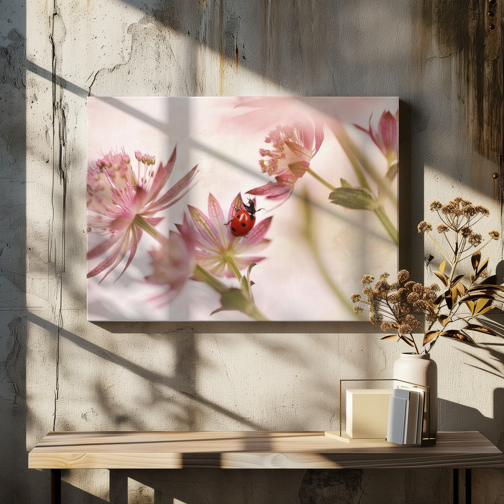 Ladybird and pink flowers - Poster / Art Print - interiör