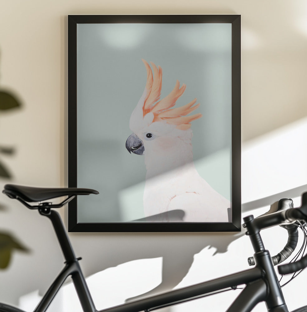 Cockatoo on Mint - Poster / Art Print - interiör