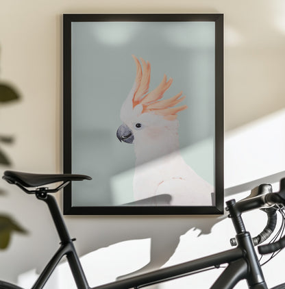 Cockatoo on Mint - Poster / Art Print - interiör