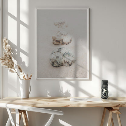 Shells - Poster / Art Print - interiör