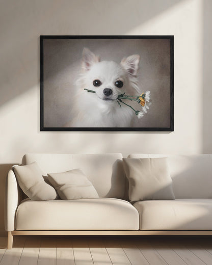 Chihuahua with flowers - Poster / Art Print - interiör