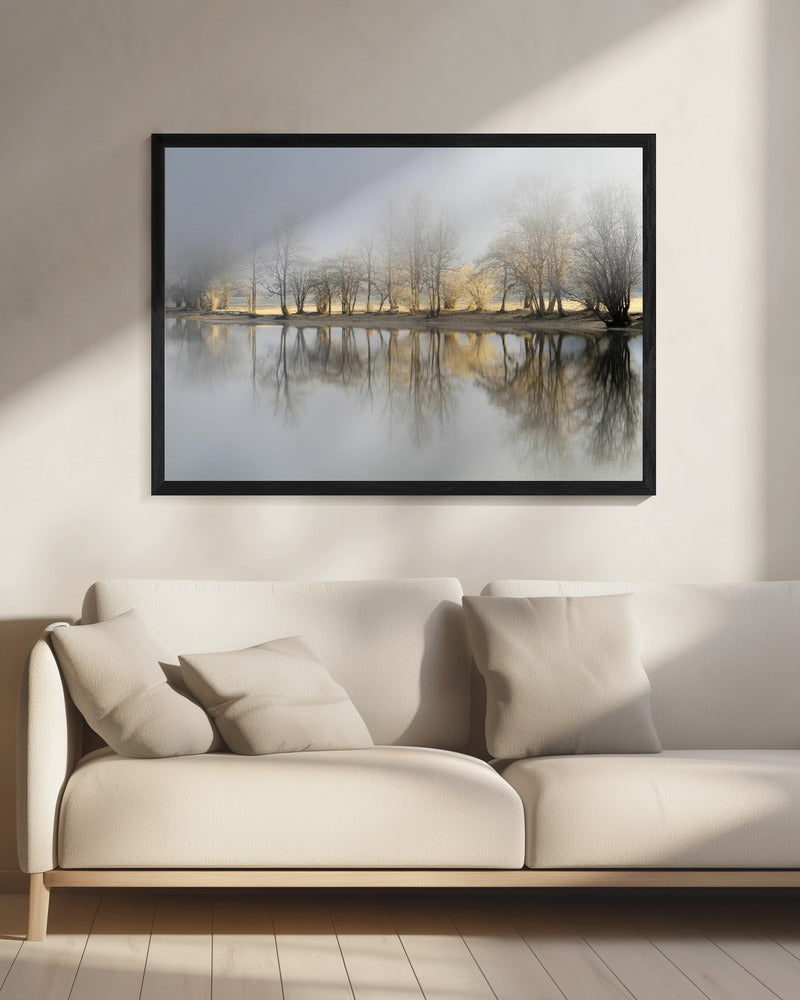 january morning - Poster / Art Print - interiör