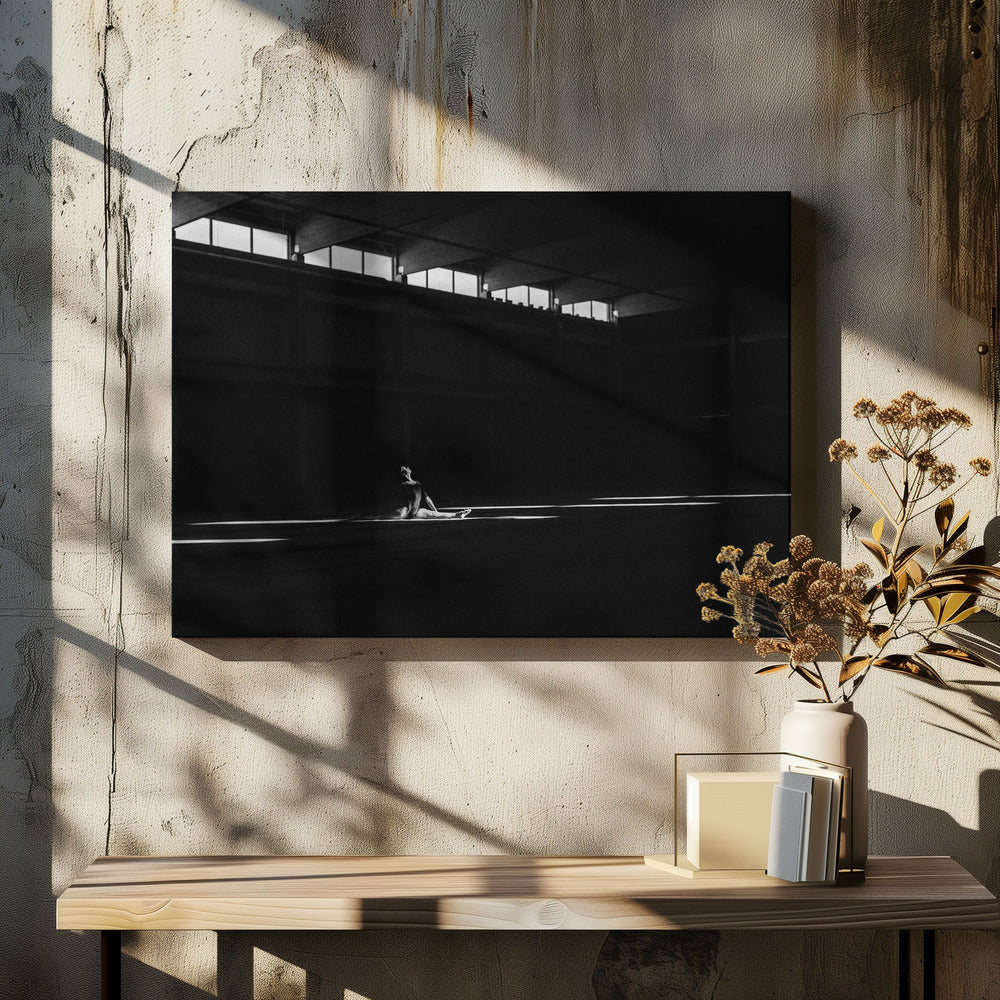 Ballando nella luce - Poster / Art Print - interiör