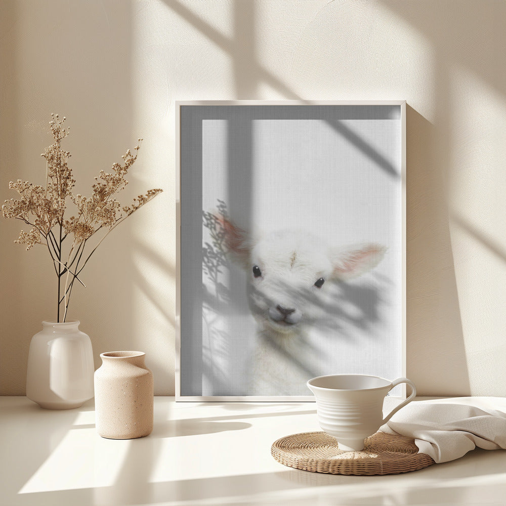 Peekaboo Baby Sheep - Poster / Art Print - interiör