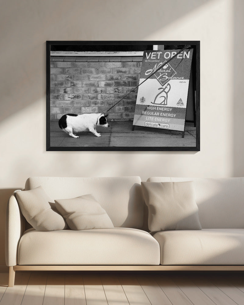 No, no.....definitely NO....! - Poster / Art Print - interiör