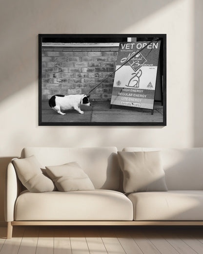 No, no.....definitely NO....! - Poster / Art Print - interiör
