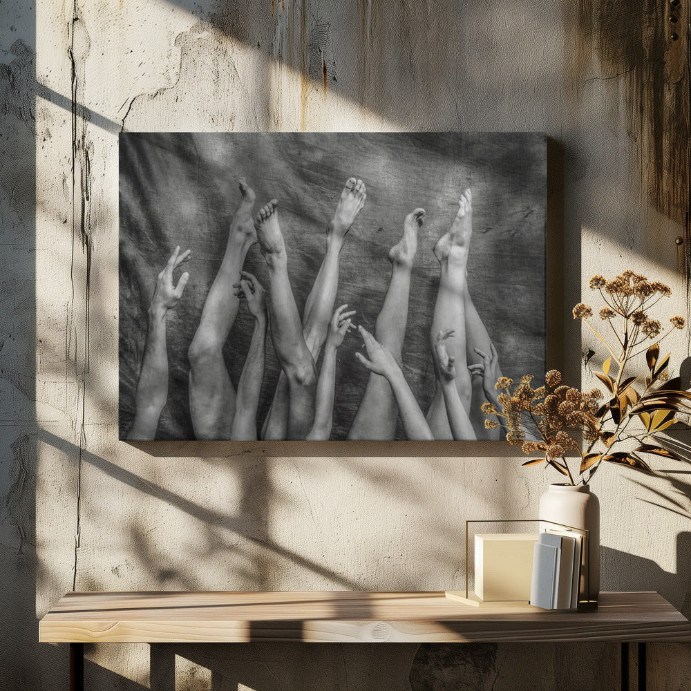 An Elegant Chaos. - Poster / Art Print - interiör
