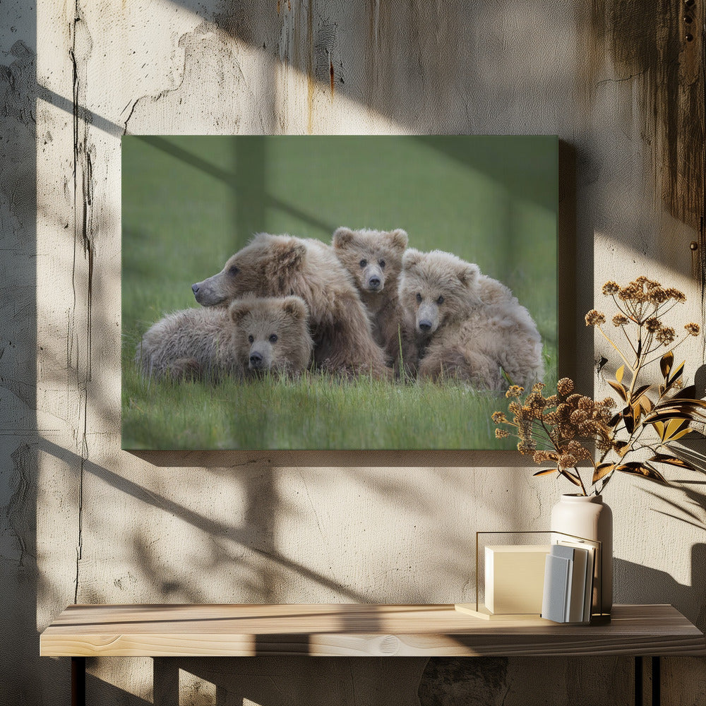 Bear Huddle - Poster / Art Print - interiör