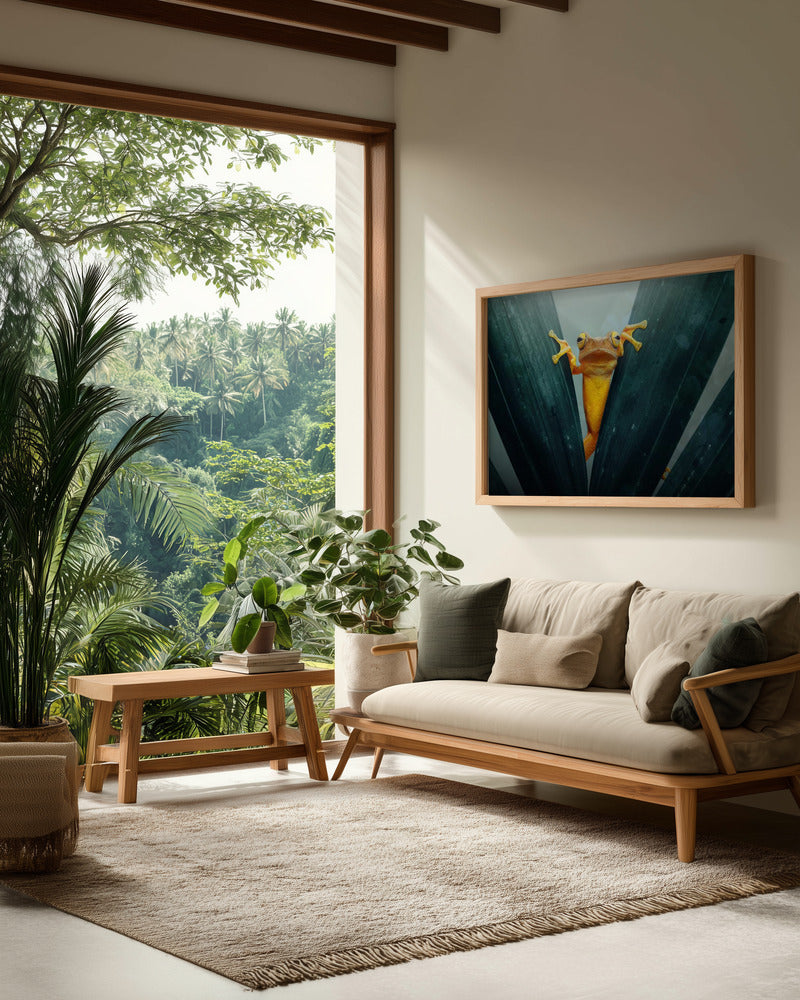 Gold Frog - Poster / Art Print - interiör