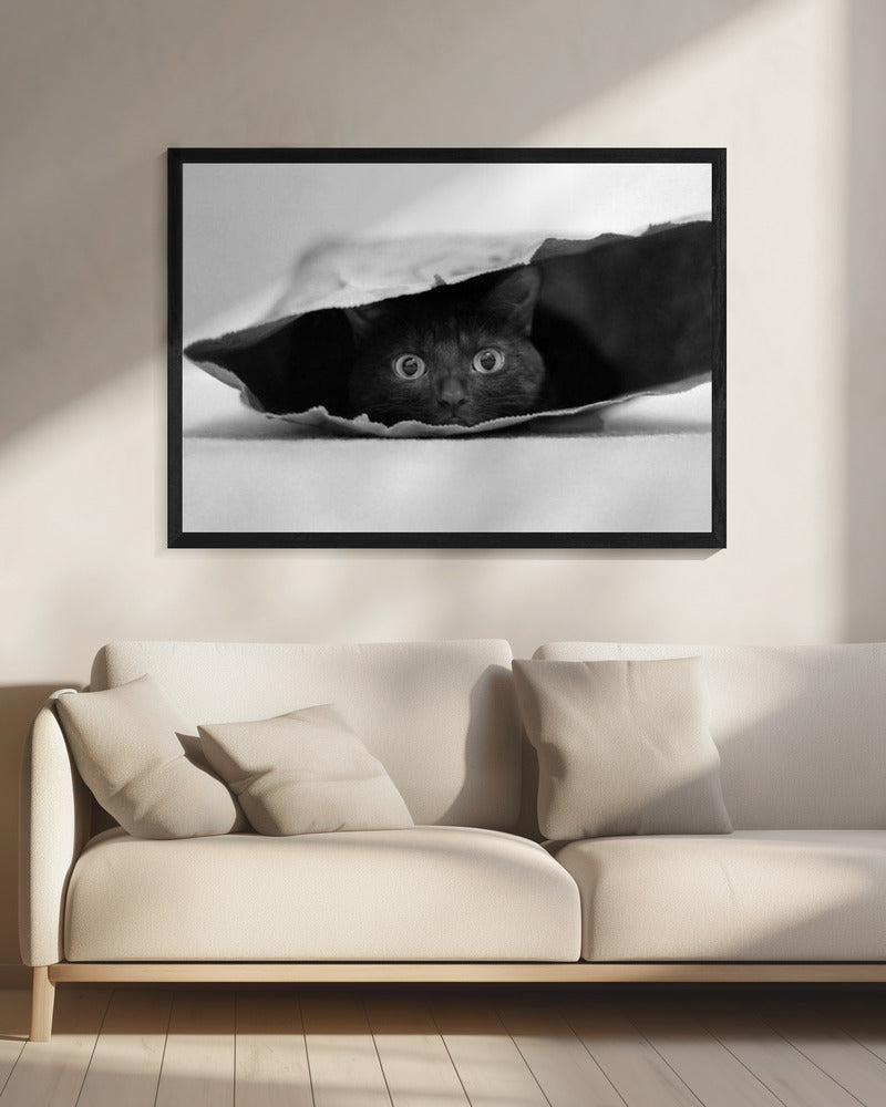 Cat in a bag - Poster / Art Print - interiör