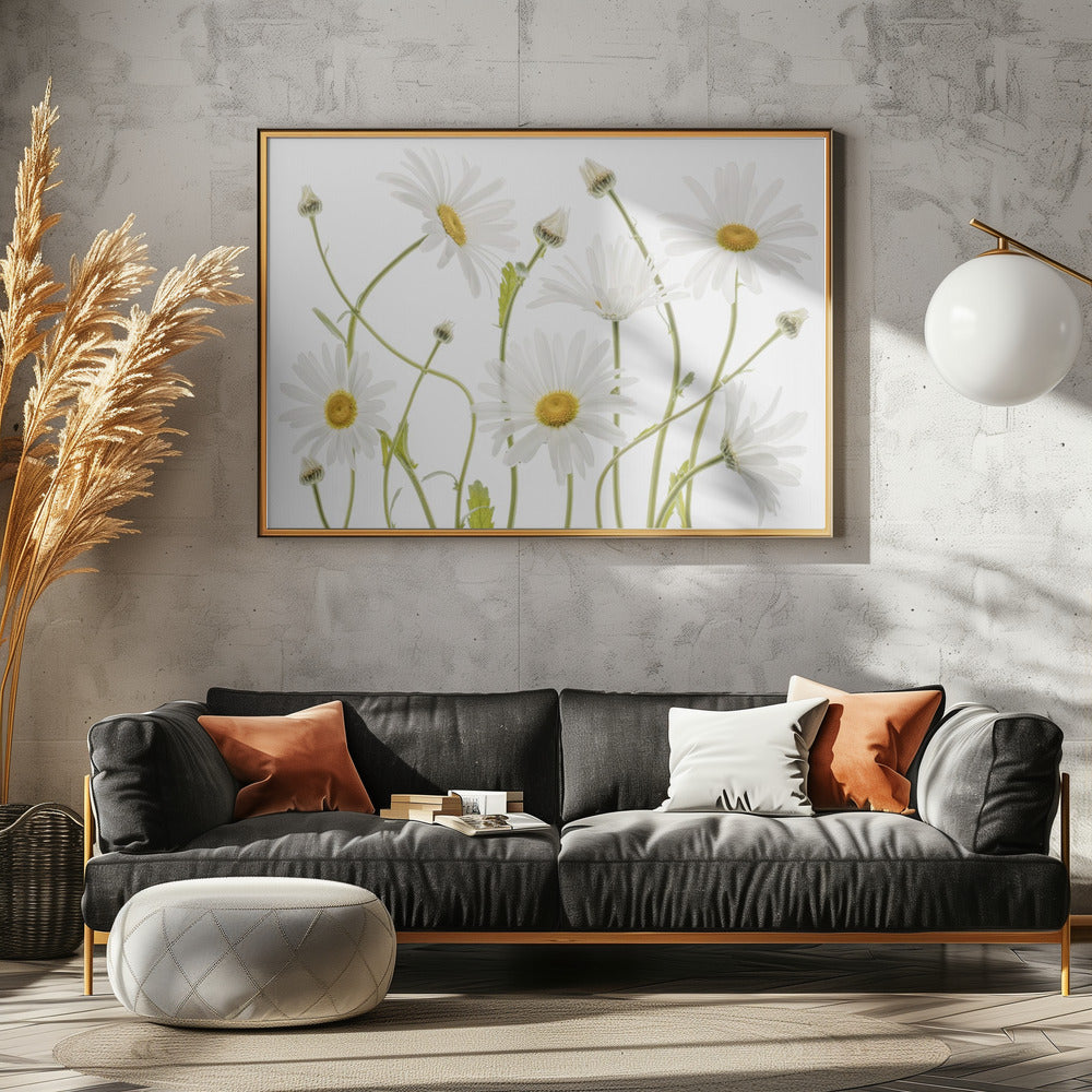 Ox eye Daisies - Poster / Art Print - interiör