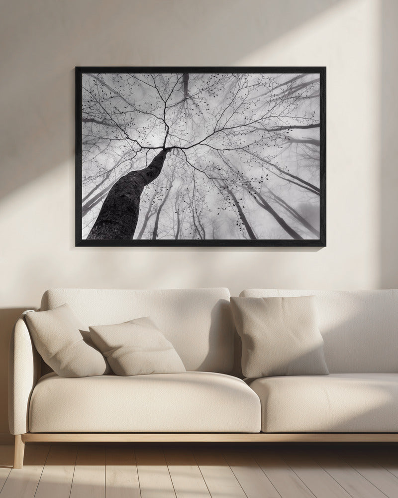 A view of the tree crown - Poster / Art Print - interiör