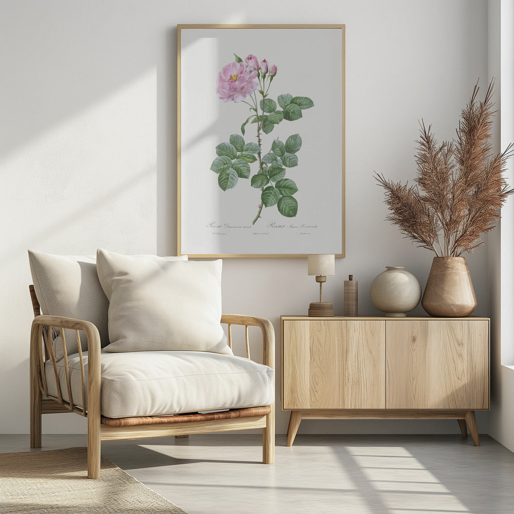 Aurora Poniatowska, Les Roses (1817–1824) - Poster / Art Print - interiör