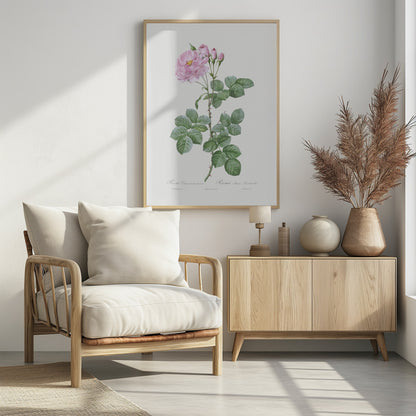 Aurora Poniatowska, Les Roses (1817–1824) - Poster / Art Print - interiör
