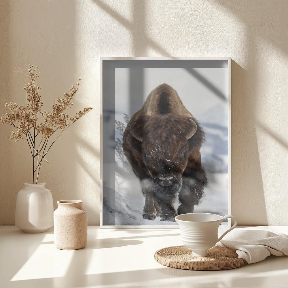Bison Incoming - Poster / Art Print - interiör