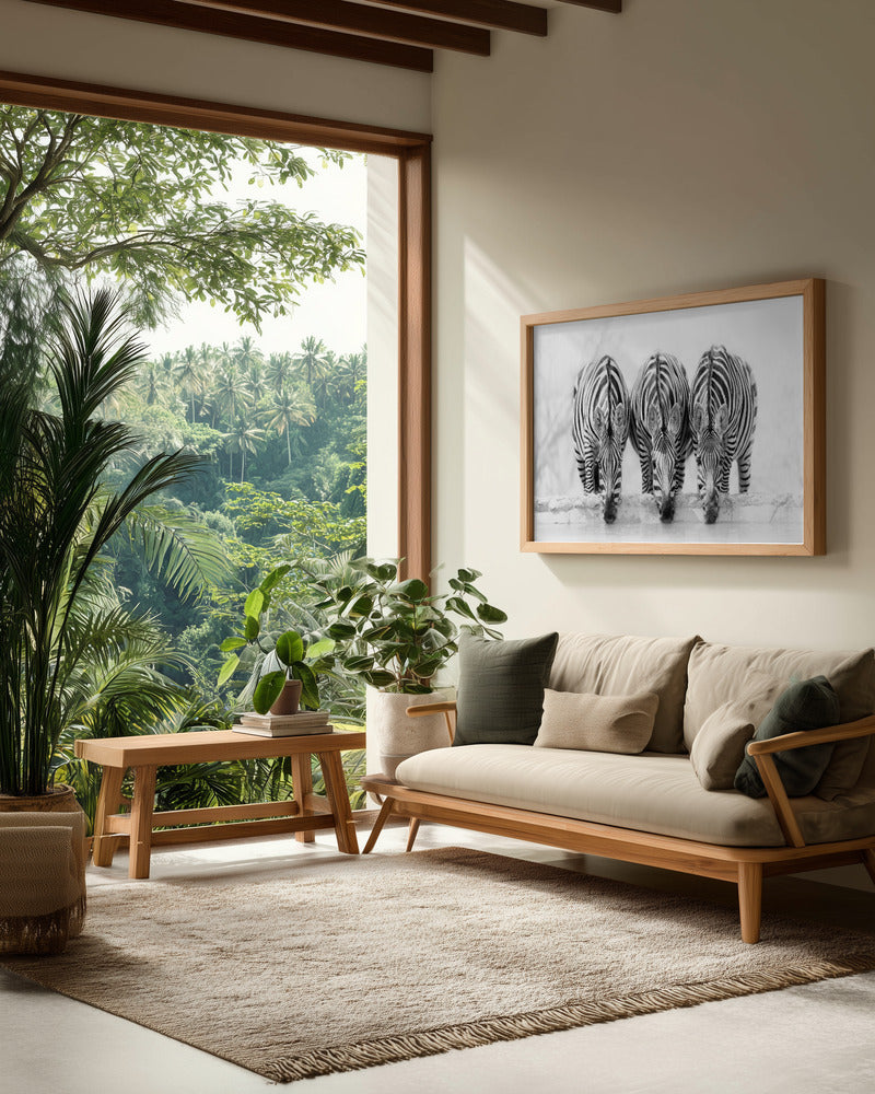 Zebras - Poster / Art Print - interiör