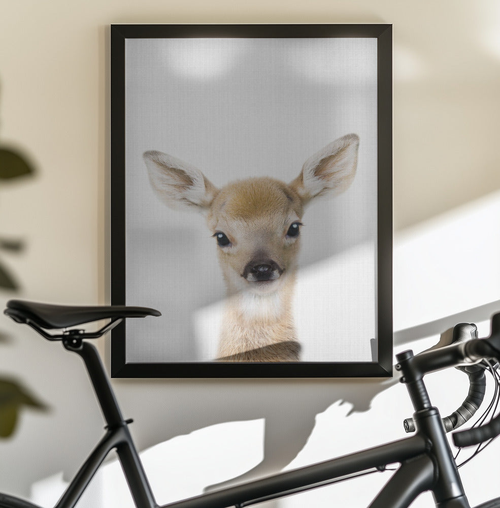 Peekaboo Baby Deer - Poster / Art Print - interiör