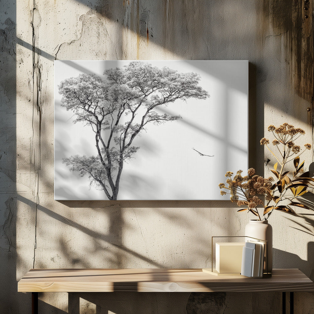 the African eagle - Poster / Art Print - interiör