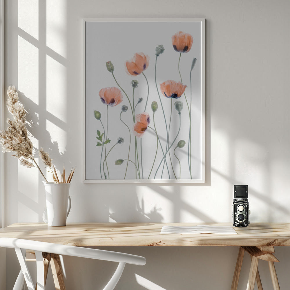 Poppies - Poster / Art Print - interiör