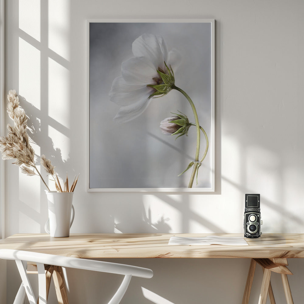 Heavenly Cosmos - Poster / Art Print - interiör