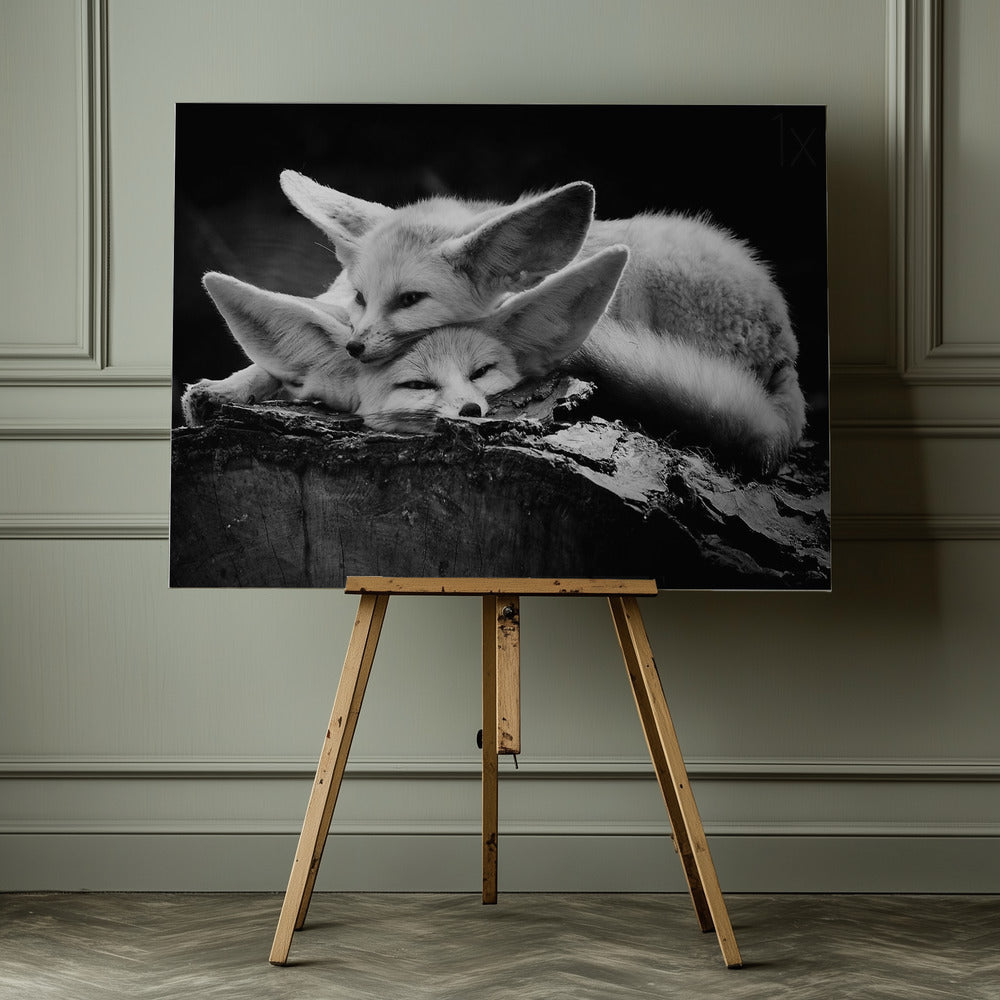 The happy couple - Poster / Art Print - interiör