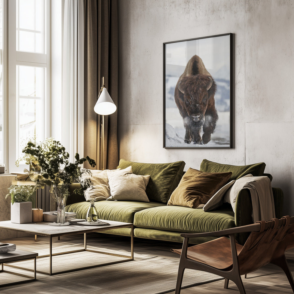 Bison Incoming - Poster / Art Print - interiör