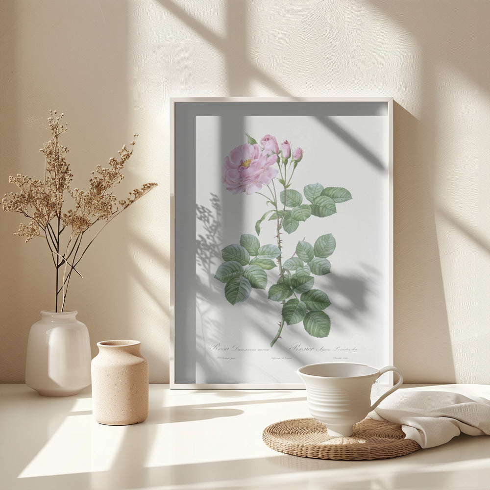 Aurora Poniatowska, Les Roses (1817–1824) - Poster / Art Print - interiör