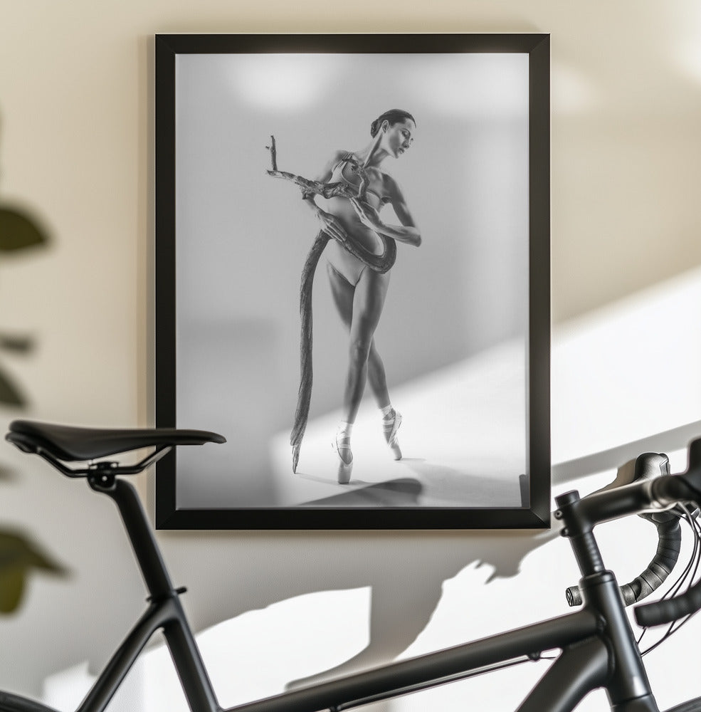 Dans 4 - Poster / Art Print - interiör