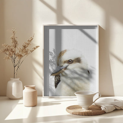 Peekaboo Kookaburra - Poster / Art Print - interiör