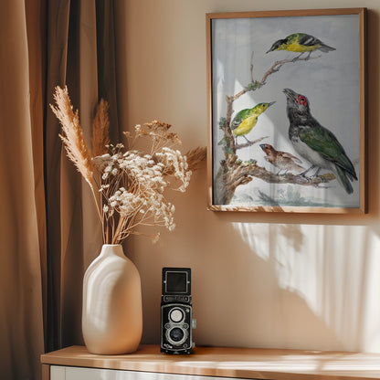 Four Different Birds On a Branch - Poster / Art Print - interiör
