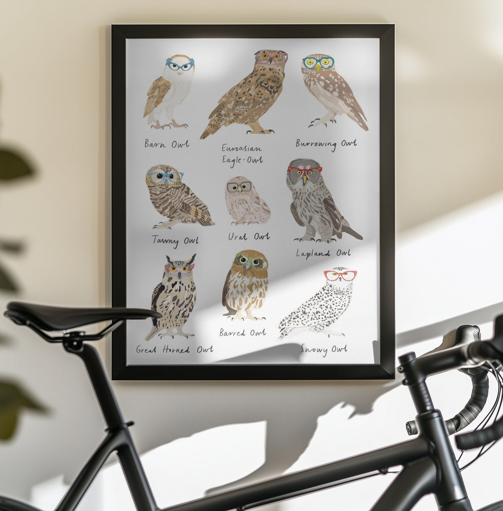 Owls In Glasses Print - Poster / Art Print - interiör