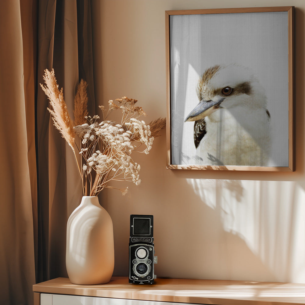 Peekaboo Kookaburra - Poster / Art Print - interiör