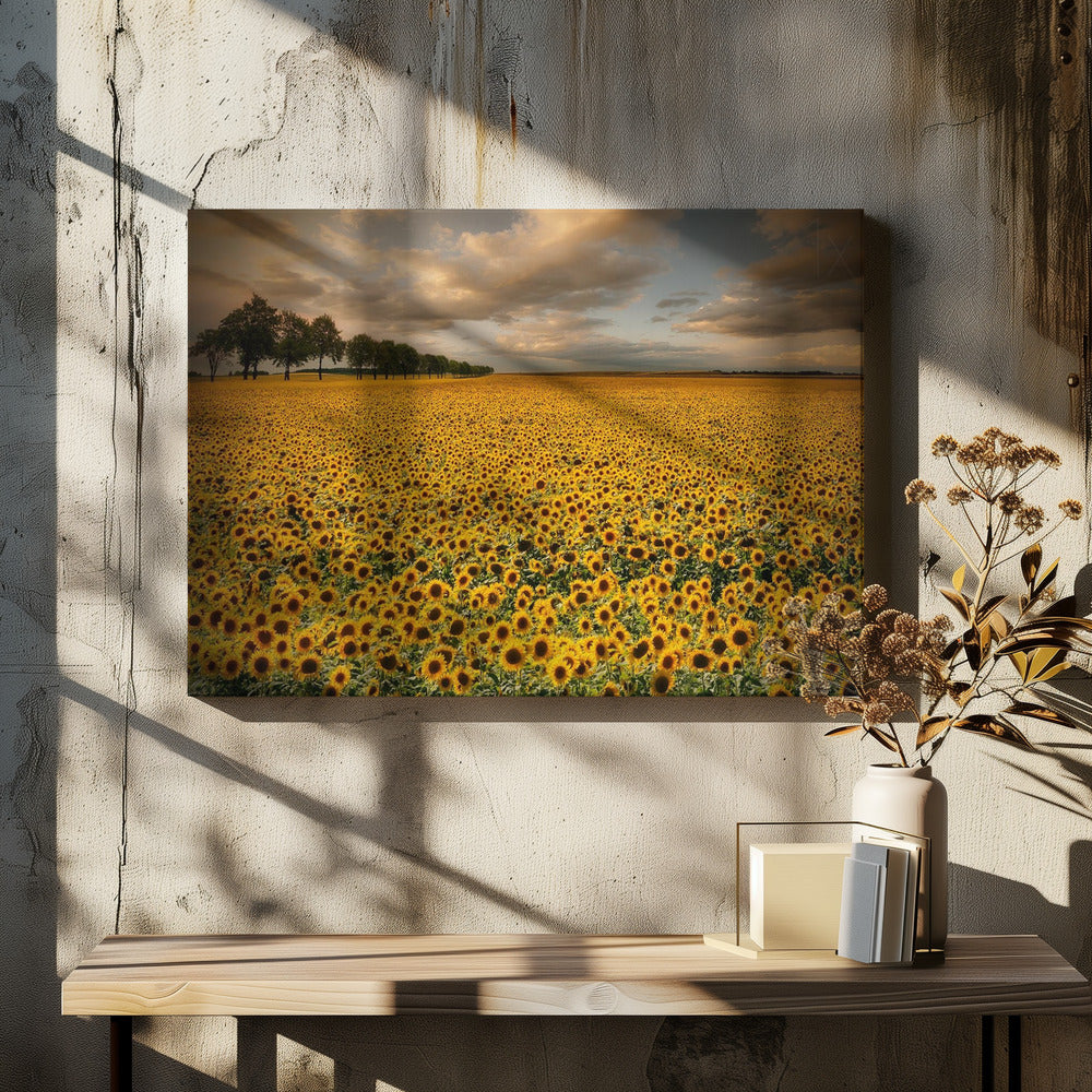 Sunflowers - Poster / Art Print - interiör