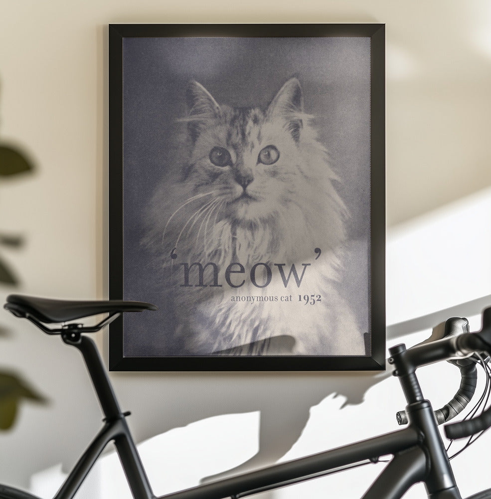 Famous Quote Cat - Poster / Art Print - interiör