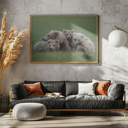 Bear Huddle - Poster / Art Print - interiör