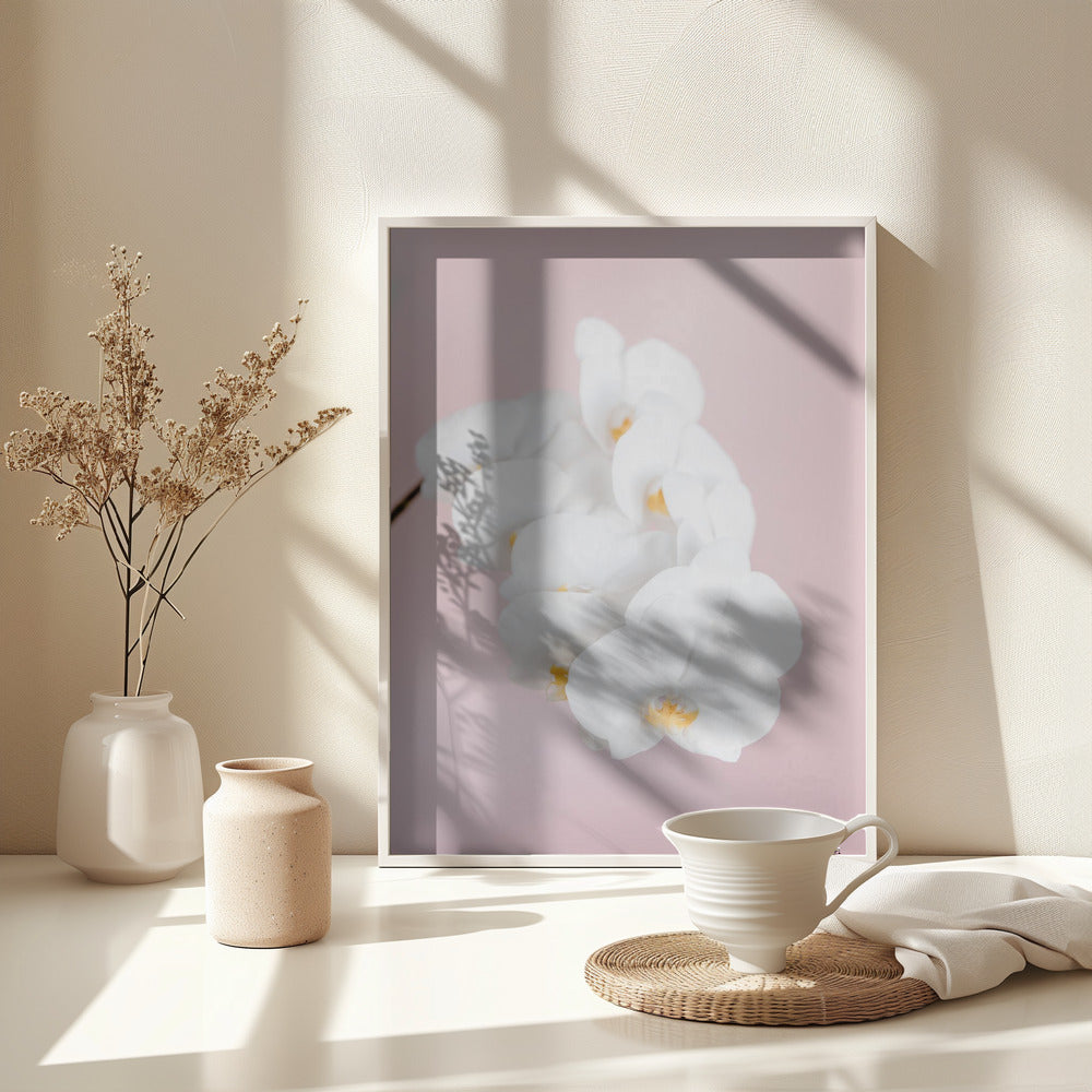 Orchid_2 - Poster / Art Print - interiör