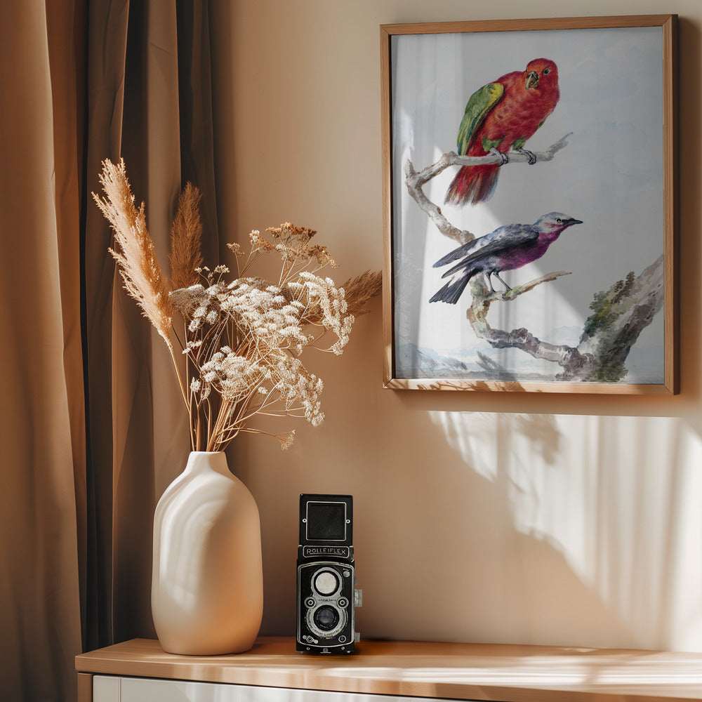 Two Birds, Including a Red Green Parrot - Poster / Art Print - interiör